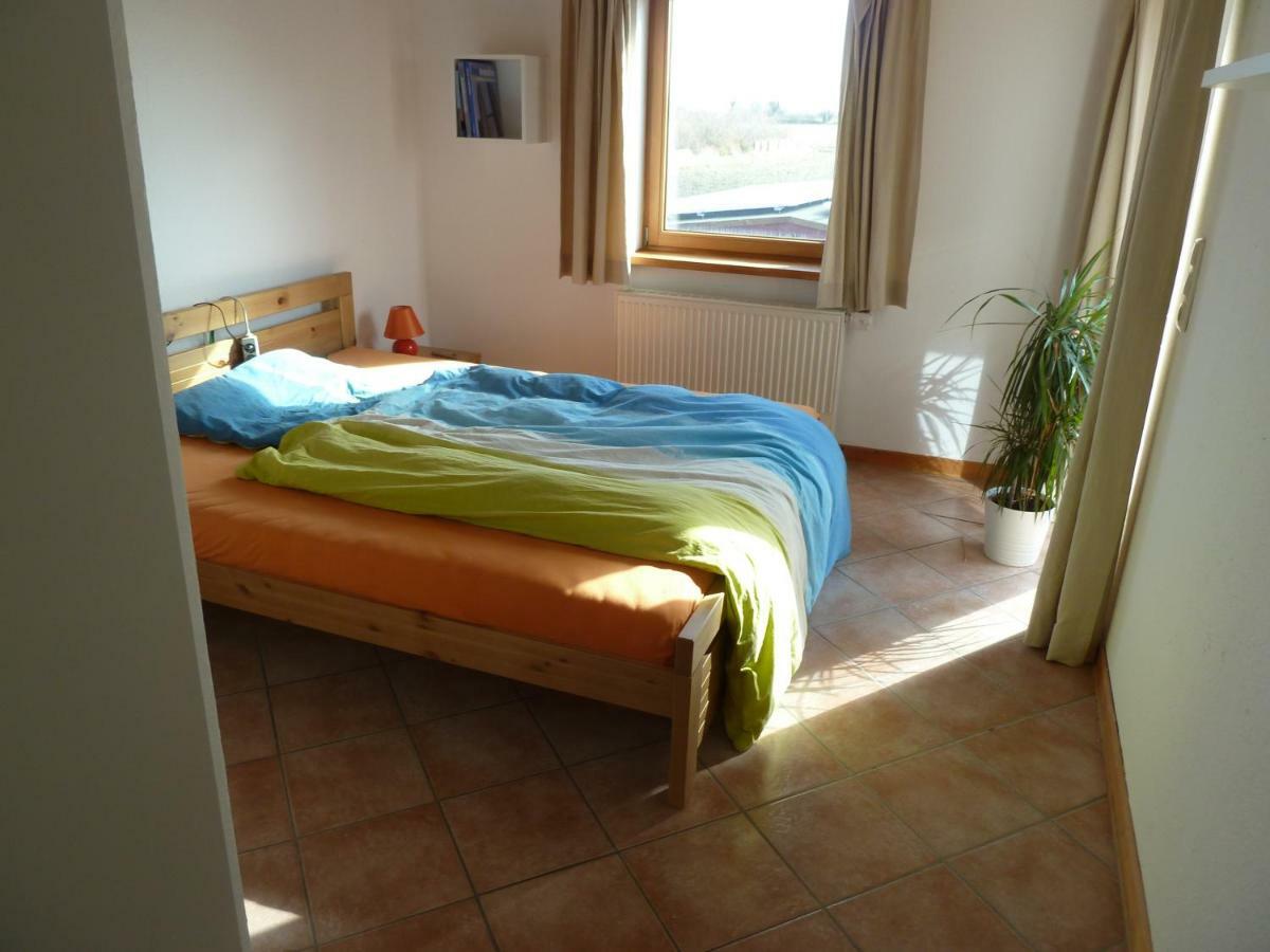 Muschel Apartamento Riepsdorf Exterior foto